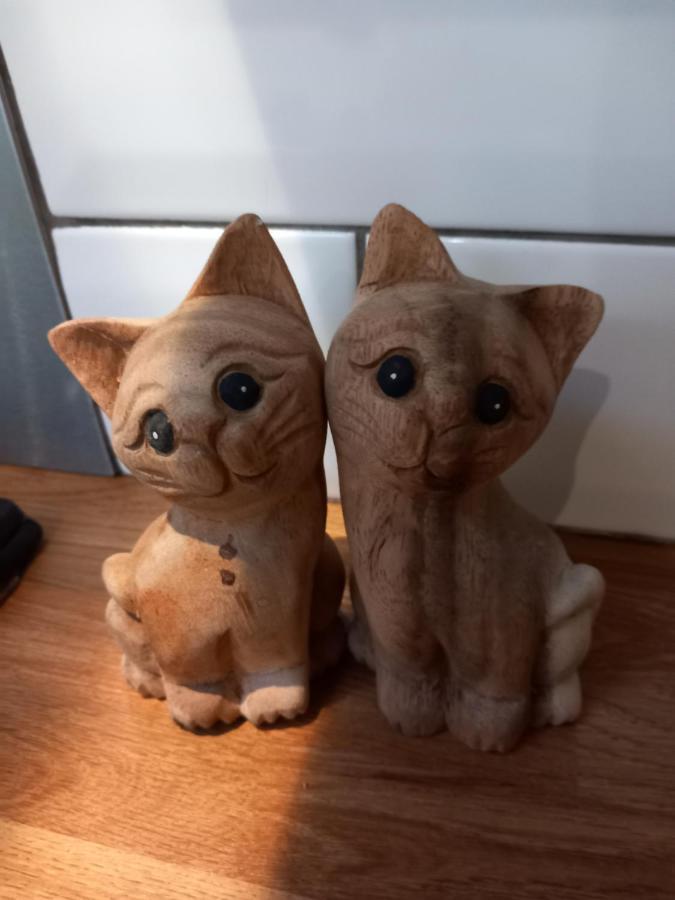 ベルファスト Waveneyヴィラ エクステリア 写真